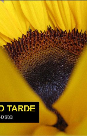 capa-Nascido-Tarde_s.jpg