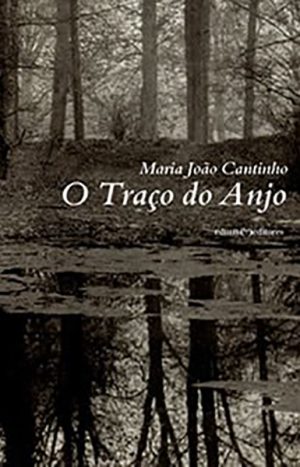 capa-O-Traco-do-Anjo_xs.jpg