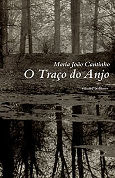 capa-O-Traco-do-Anjo_xs.jpg