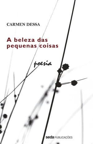 capa a beleza das pequenas coisas