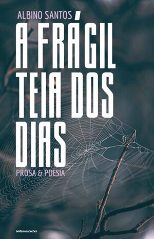 A Frágil Teia dos Dias